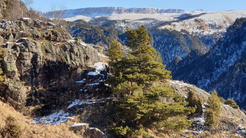 Джилы су кисловодск фото